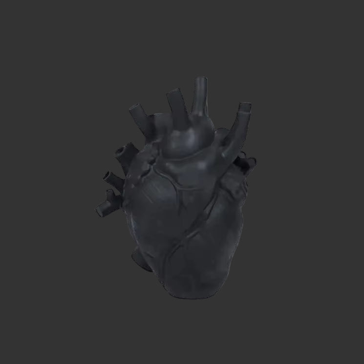 Heart Vase, Home Decoration, Desktop Craft Decoration, Exquisite High-End Interior Vase, Organ Design Flower Box, Halloween Deco